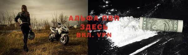 ECSTASY Навашино