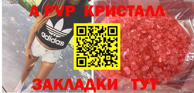 СК Гусь-Хрустальный