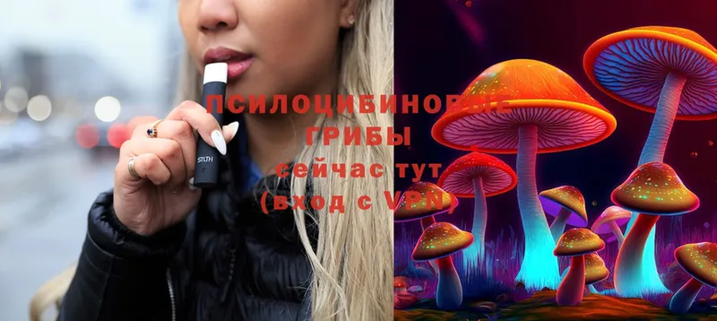 наркота  Туймазы  блэк спрут вход  Псилоцибиновые грибы Magic Shrooms 