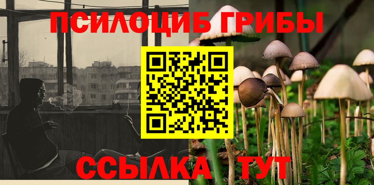 Псилоцибиновые грибы Psilocybe Туймазы