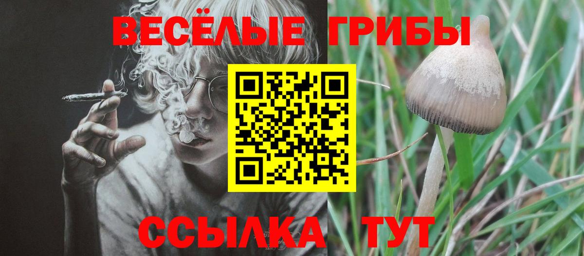 Галлюциногенные грибы мухоморы  Туймазы  Галлюциногенные грибы Magic Shrooms 