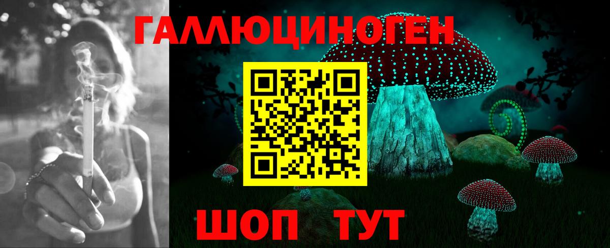 Псилоцибиновые грибы Psilocybine cubensis Туймазы