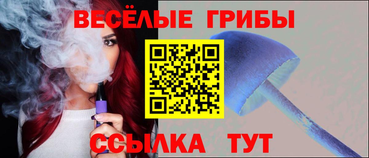 Псилоцибиновые грибы Psilocybe  Псилоцибиновые грибы мухоморы  Туймазы  Вход с VPN 